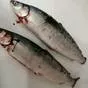 якутская рыба в красноярске: омуль в Красноярске и Красноярском крае