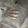 речная рыба оптом в Красноярске 2