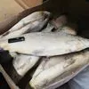 рыба Муксун Омуль Сиг Ряпушка  в Красноярске