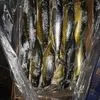 отходы рыбного производства, неликвид в Красноярске и Красноярском крае 4