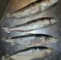 якутская рыба в красноярске: омуль в Красноярске и Красноярском крае 2