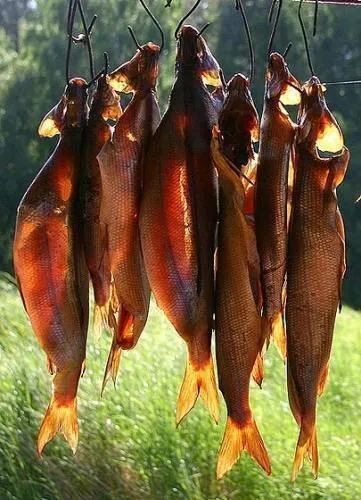 рыба хариус, Икра хариуса в Красноярске